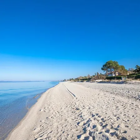 Olive White Chaniotis