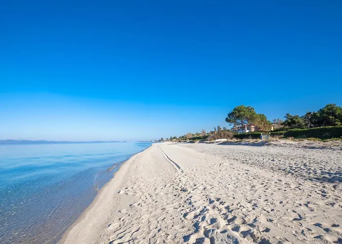 Olive White Chaniotis